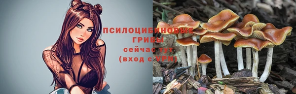 ПСИЛОЦИБИНОВЫЕ ГРИБЫ Алексин