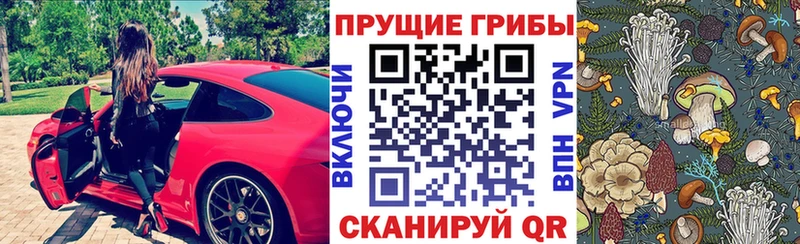 мега ссылка  Новоалександровск  сайты даркнета Telegram  Галлюциногенные грибы Psilocybine cubensis 
